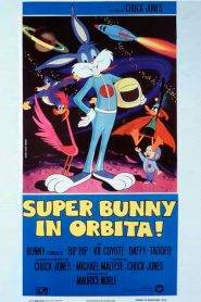 Super Bunny in orbita!