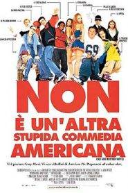 Non è un’altra stupida commedia americana