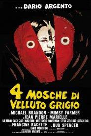 4 mosche di velluto grigio