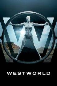 Westworld – Dove tutto è concesso