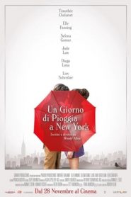 Un giorno di pioggia a New York