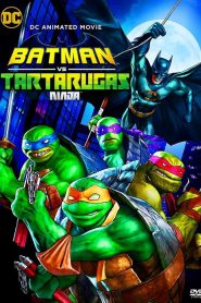 Batman vs. Teenage Mutant Ninja Turtles