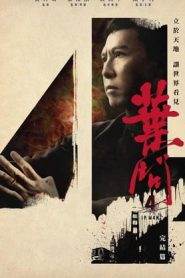 Ip Man 4