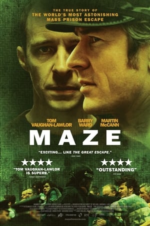 Maze